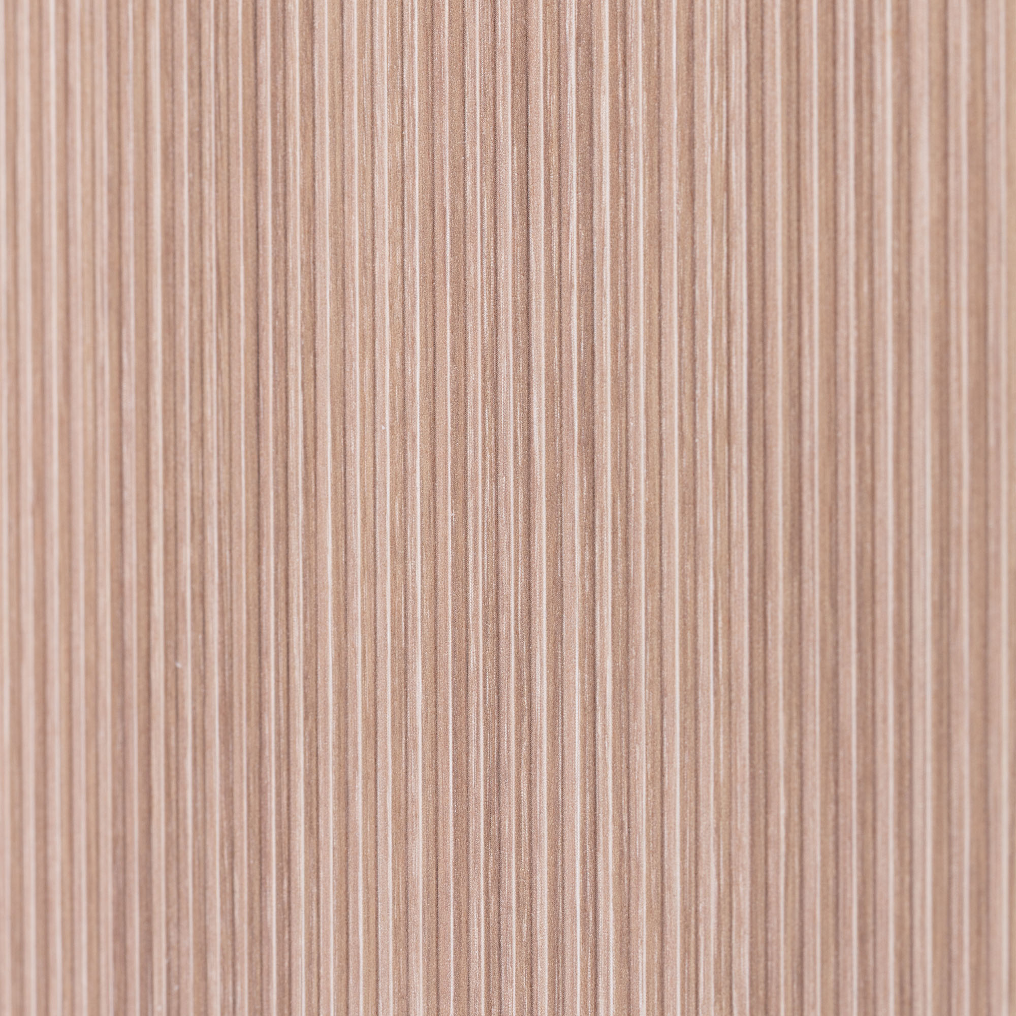 Untitled-1_0005_IMG_6811