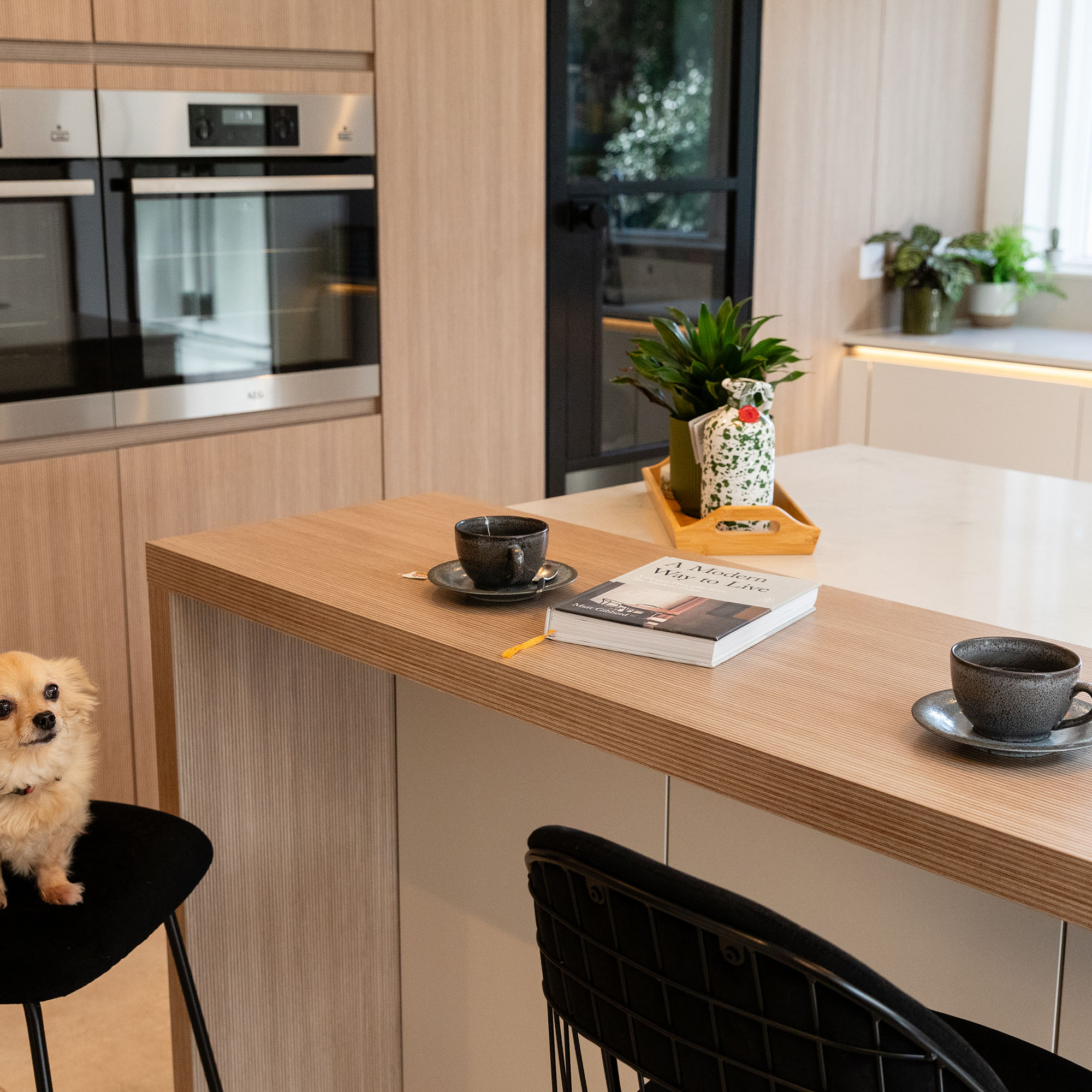 Untitled-1_0025_IMG_6786