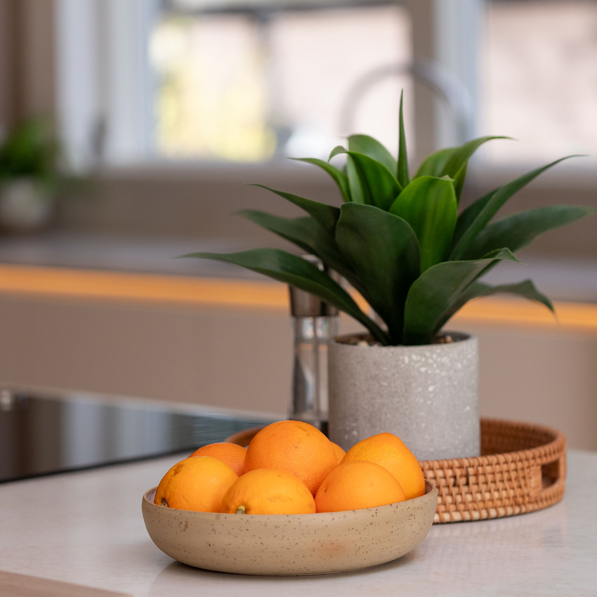 Untitled-1_0051_IMG_6760